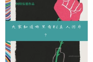 探索BL真人图片的隐秘角落